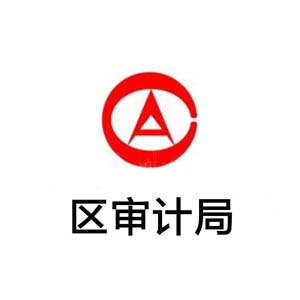 区审计局